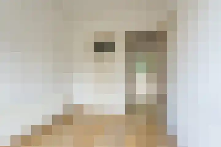 Paulaland 8 Den Haag thumbnail 8