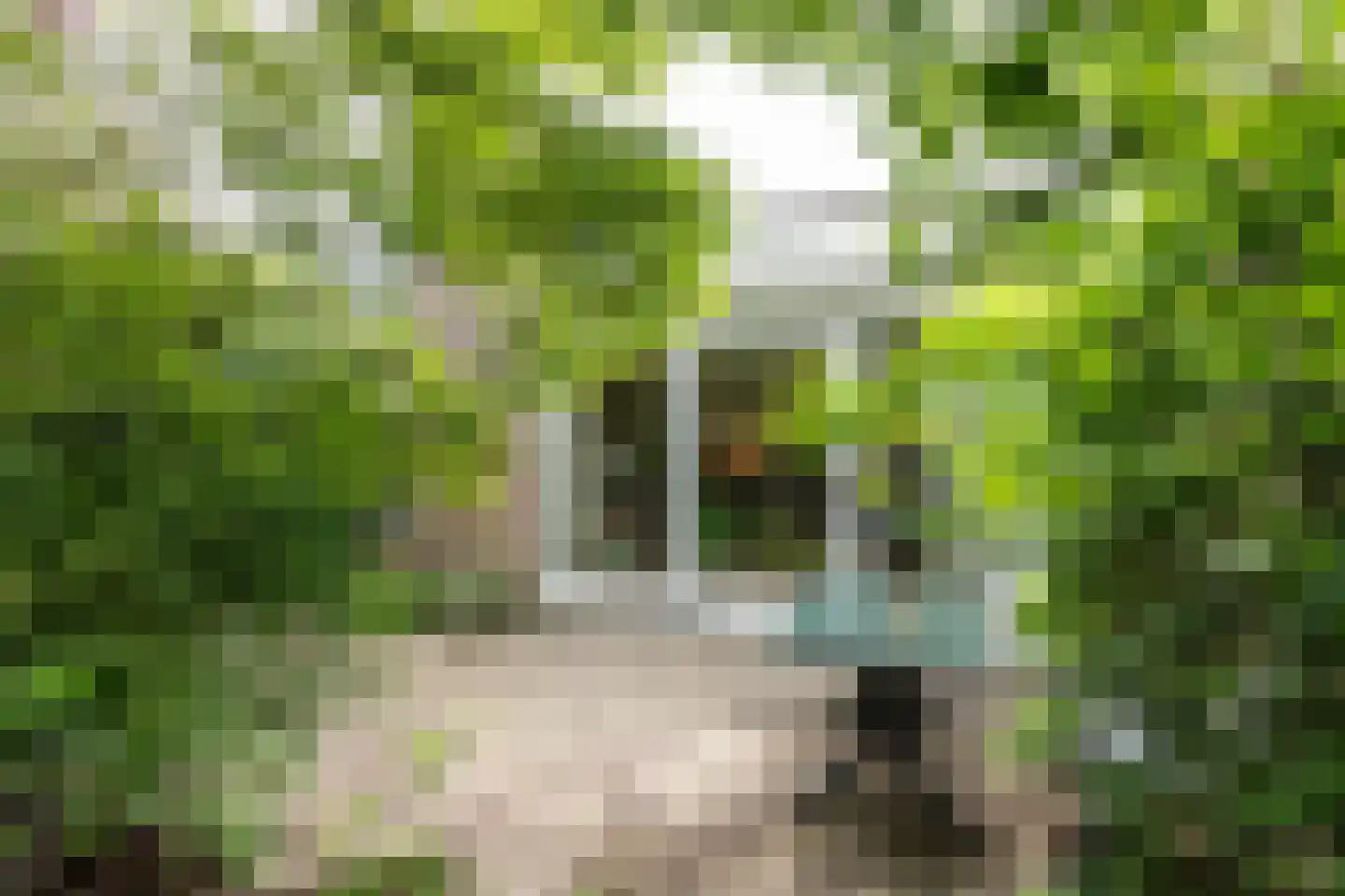Paulihof 20 Badhoevedorp thumbnail 9