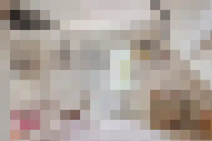Paulina van Weellaan 13 a Dirksland thumbnail 22