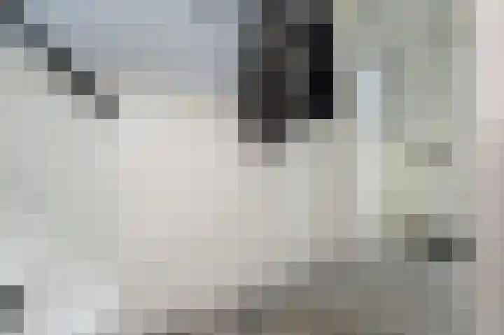 Paulina van Weellaan 14 Dirksland thumbnail 7