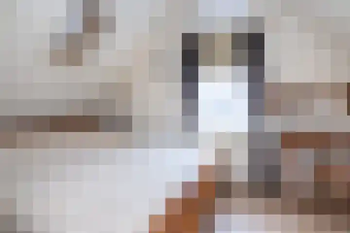 Paulina van Weellaan 9 Dirksland thumbnail 22