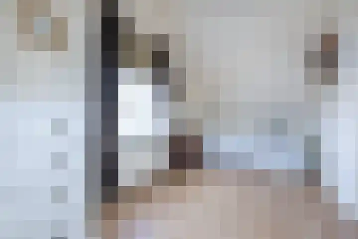 Paulina van Weellaan 9 Dirksland thumbnail 24