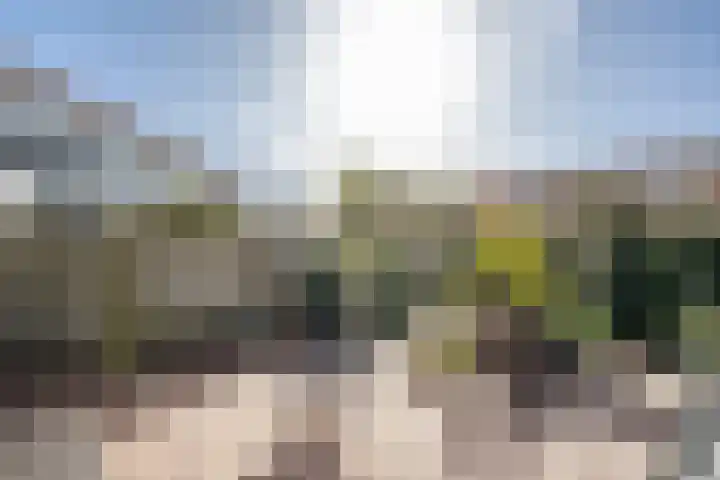 Paulina van Weellaan 9 Dirksland thumbnail 28