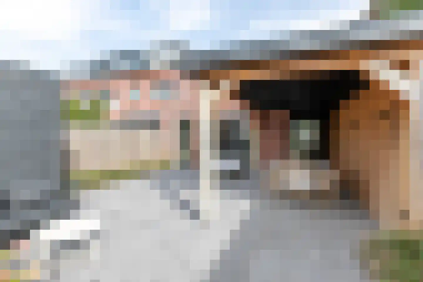 Paulinapolder 18 Amersfoort thumbnail 24