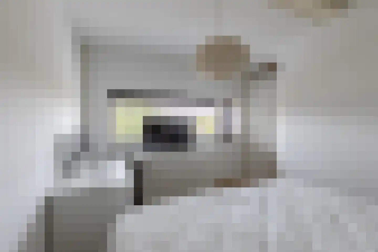 Paulinapolder 18 Amersfoort thumbnail 32