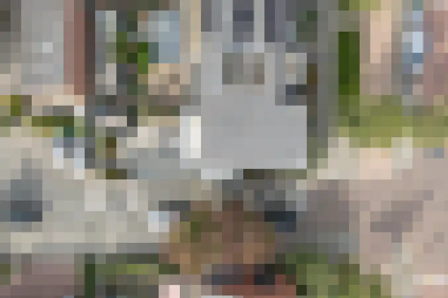 Paulinapolder 18 Amersfoort thumbnail 45