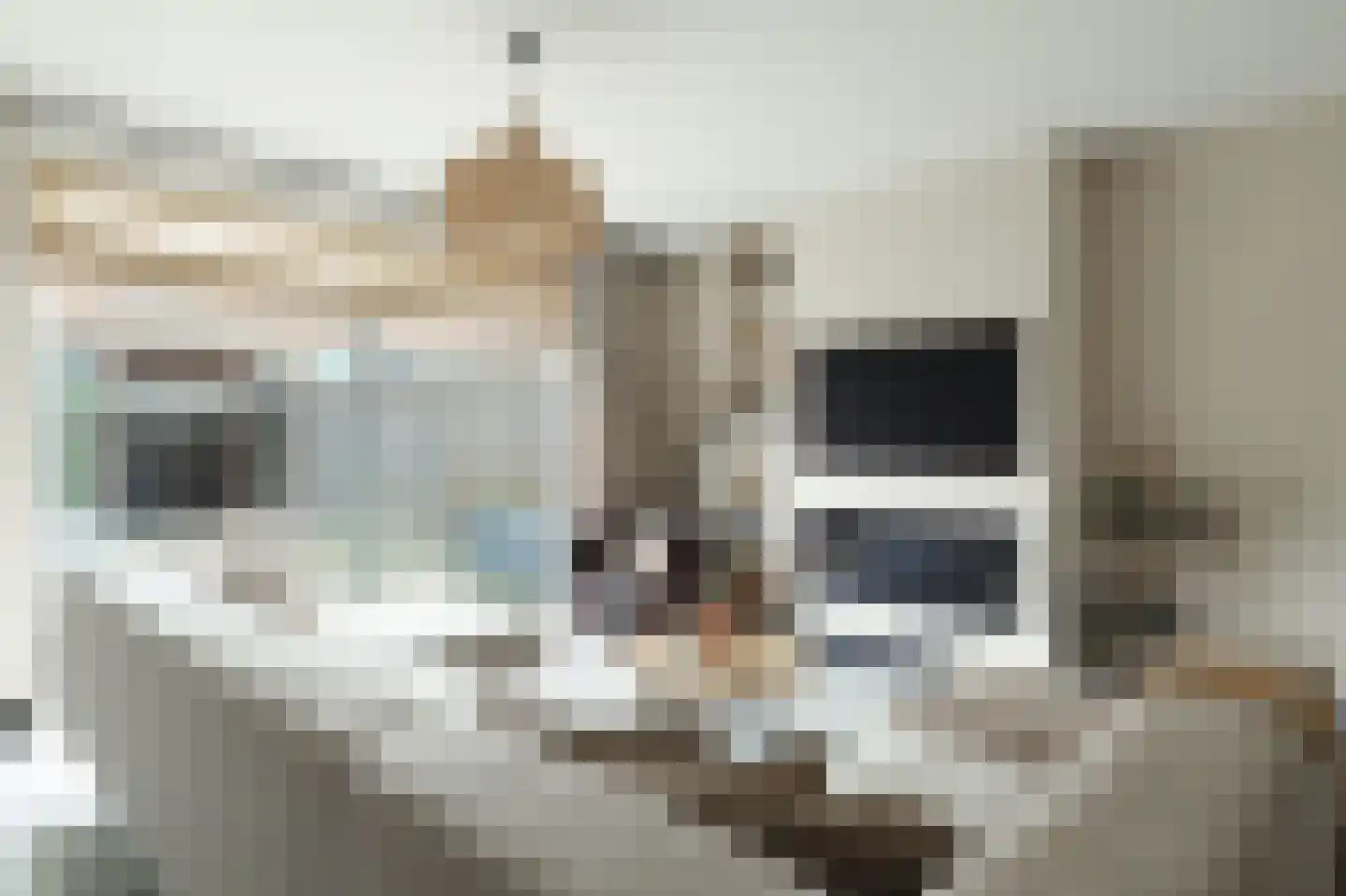 Paulinapolder 22 Barendrecht thumbnail 12