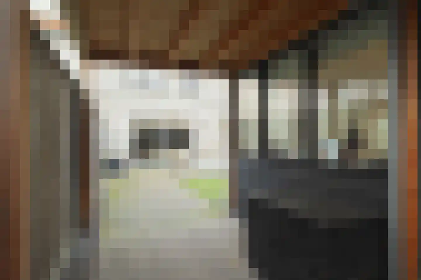 Paulinapolder 22 Barendrecht thumbnail 34