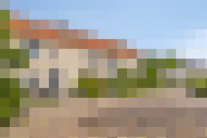 Paulinapolder 31 Barendrecht thumbnail 33