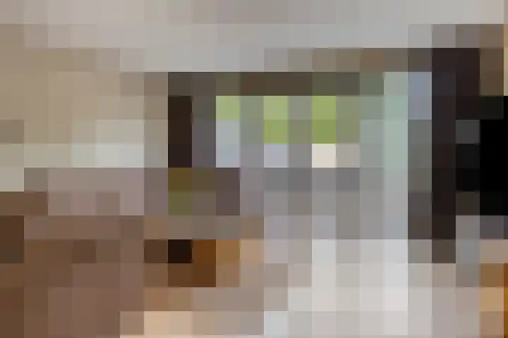 Paulinapolder 31 Barendrecht thumbnail 4