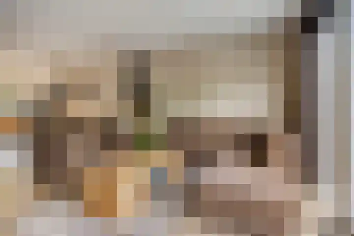 Paulinapolder 31 Barendrecht thumbnail 5
