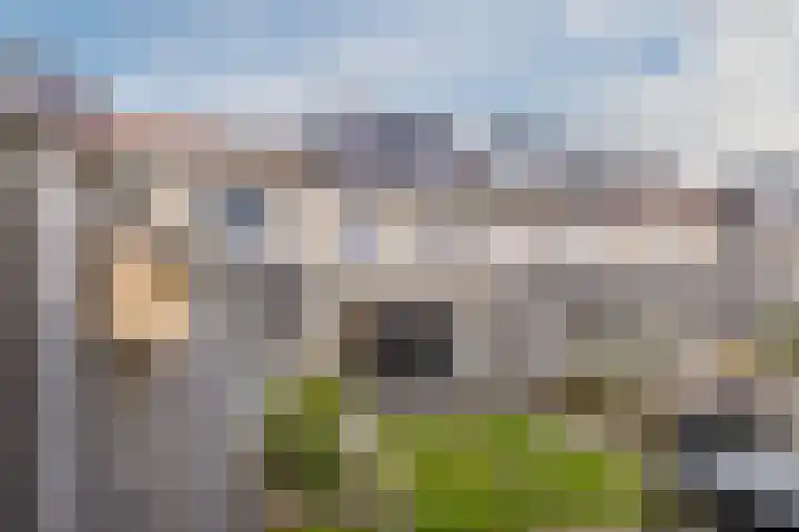 Paulinapolder 33 Barendrecht thumbnail 10