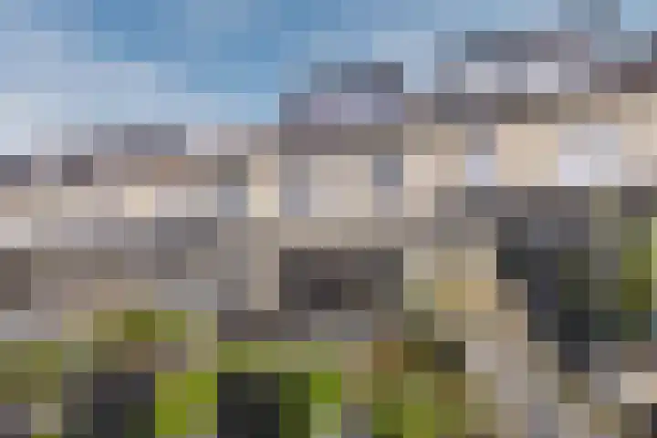 Paulinapolder 33 Barendrecht thumbnail 12