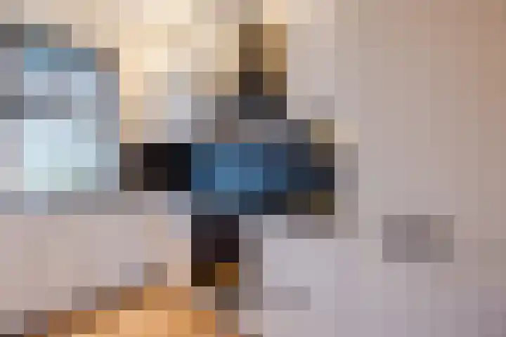 Paulinapolder 33 Barendrecht thumbnail 17