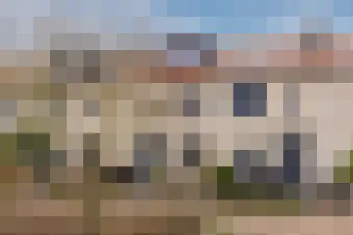 Paulinapolder 33 Barendrecht thumbnail 37