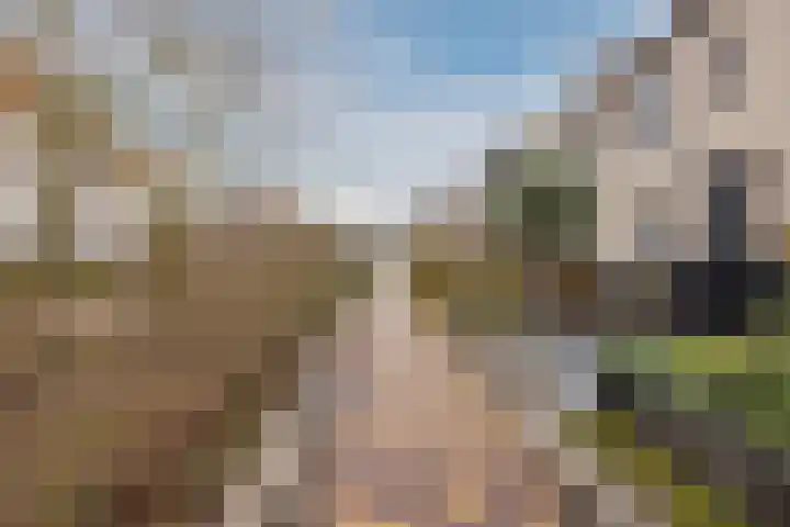 Paulinapolder 33 Barendrecht thumbnail 38