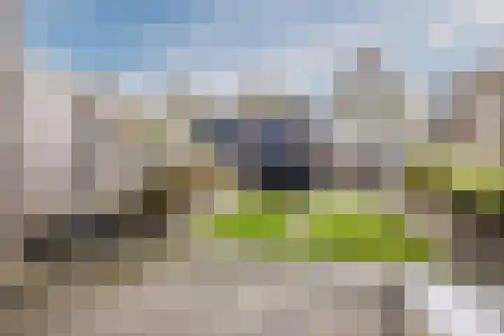 Paulinapolder 33 Barendrecht thumbnail 6