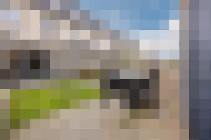 Paulinapolder 33 Barendrecht thumbnail 9