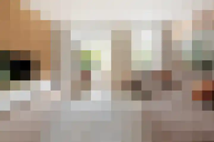 Paulinapolder 46 Amersfoort thumbnail 17