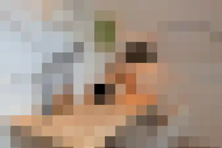 Paulinapolder 46 Amersfoort thumbnail 38