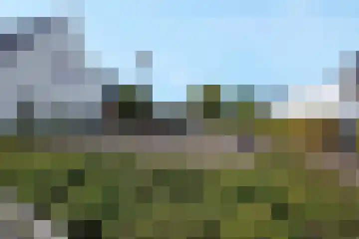 Paulinapolder 46 Amersfoort thumbnail 43