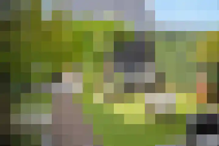 Paulinapolder 46 Amersfoort thumbnail 46