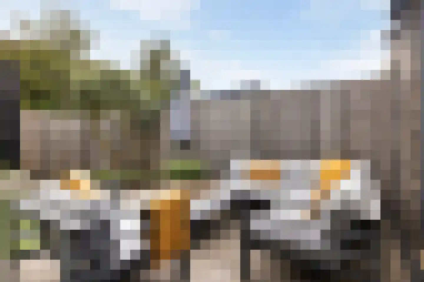 Paulinapolder 53 Barendrecht thumbnail 22