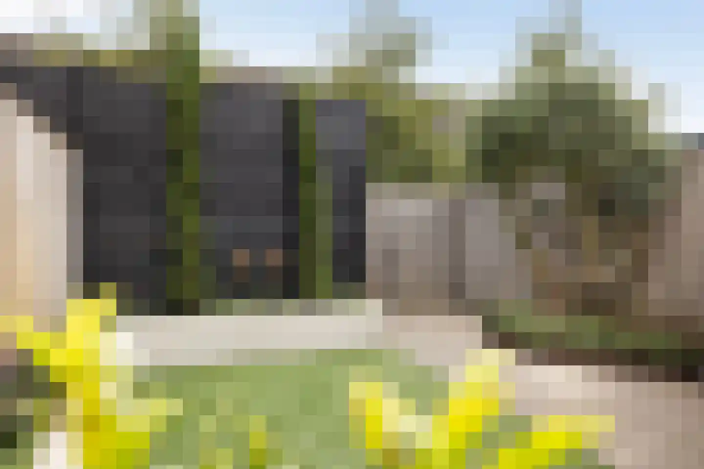 Paulinapolder 53 Barendrecht thumbnail 24