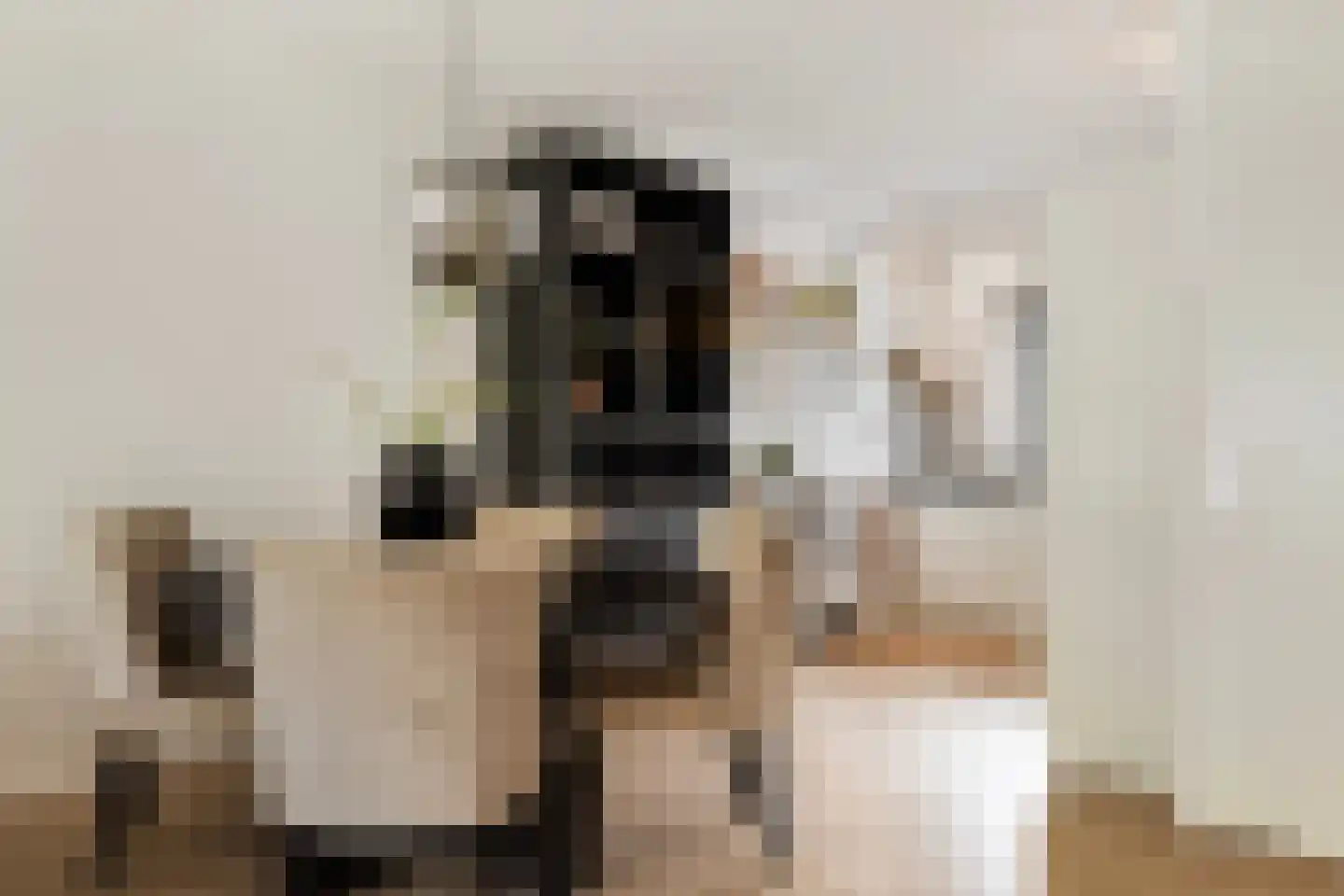 Paulinapolder 53 Barendrecht thumbnail 4