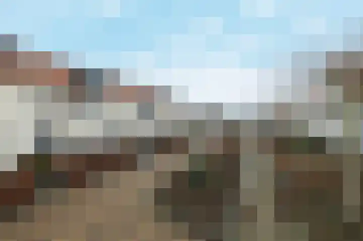 Paulinapolder 57 Barendrecht thumbnail 6