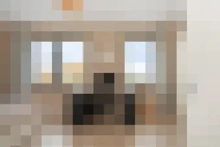 Paulinapolder 58 Amersfoort thumbnail 19