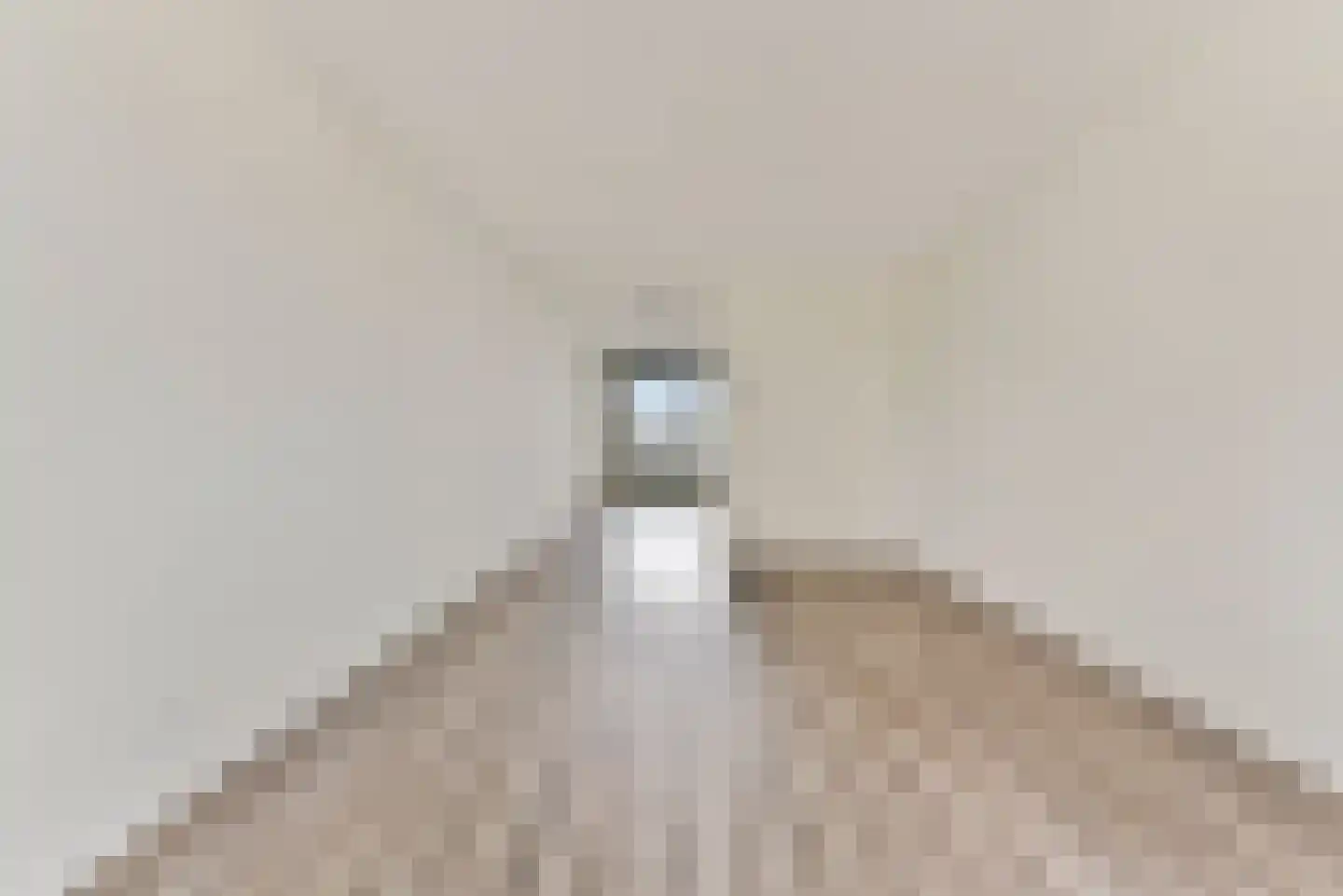 Paulinapolder 72 B Amersfoort thumbnail 12