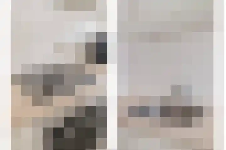 Paulinastraat 101 Den Haag thumbnail 14