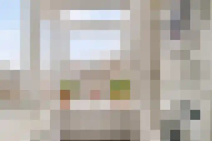 Paulinastraat 101 Den Haag thumbnail 15