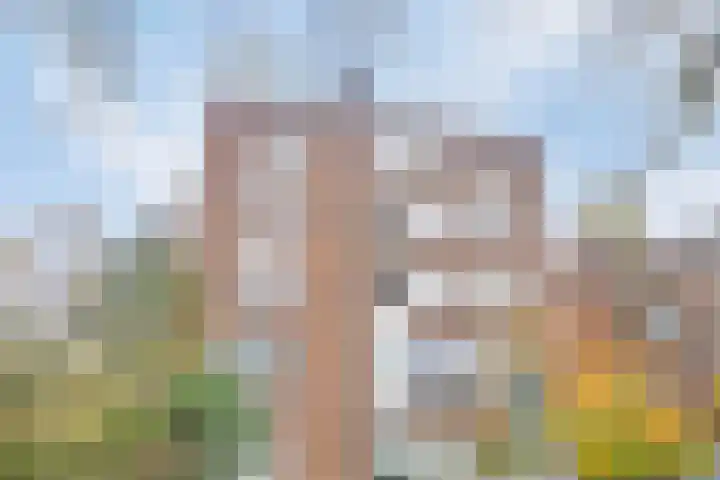 Paulinastraat 101 Den Haag thumbnail 23