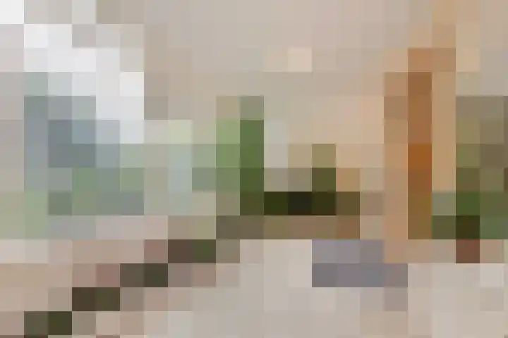 Paulinastraat 101 Den Haag thumbnail 5