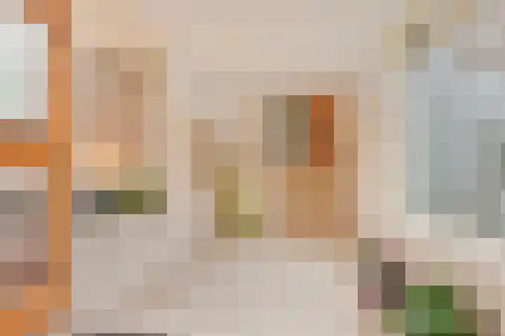 Paulinastraat 101 Den Haag thumbnail 6