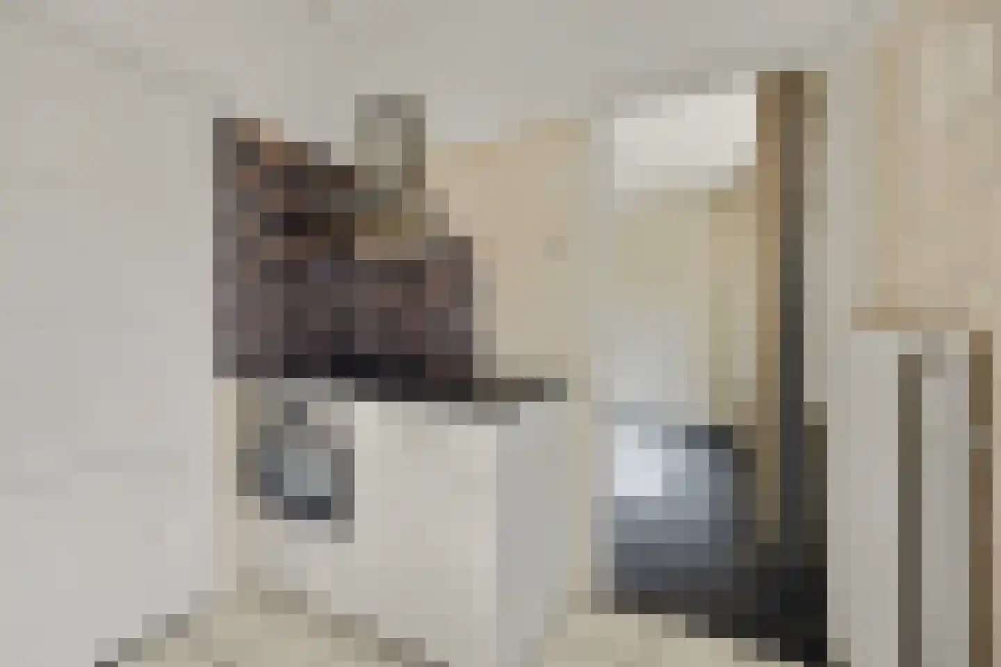 Paulinastraat 103 Hengelo thumbnail 17