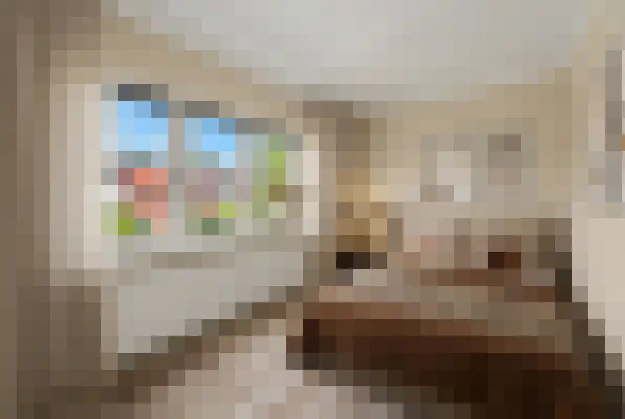 Paulinastraat 103 Hengelo thumbnail 19