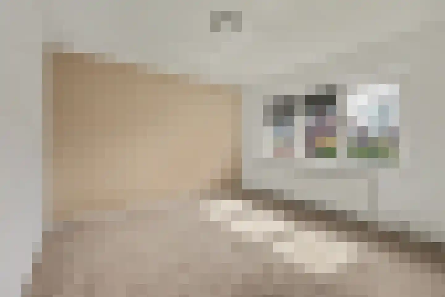 Paulinastraat 103 Hengelo thumbnail 20
