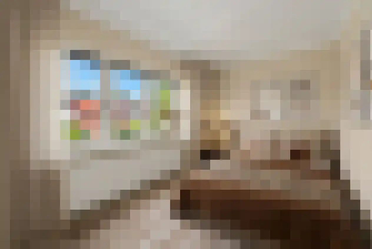 Paulinastraat 103 Hengelo thumbnail 5