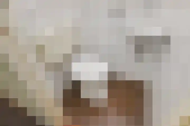 Paulinastraat 20 Den Haag thumbnail 15