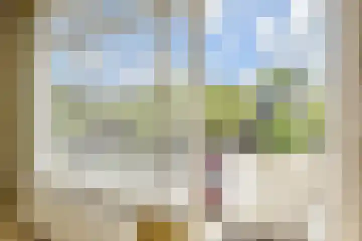 Paulinastraat 20 Den Haag thumbnail 18