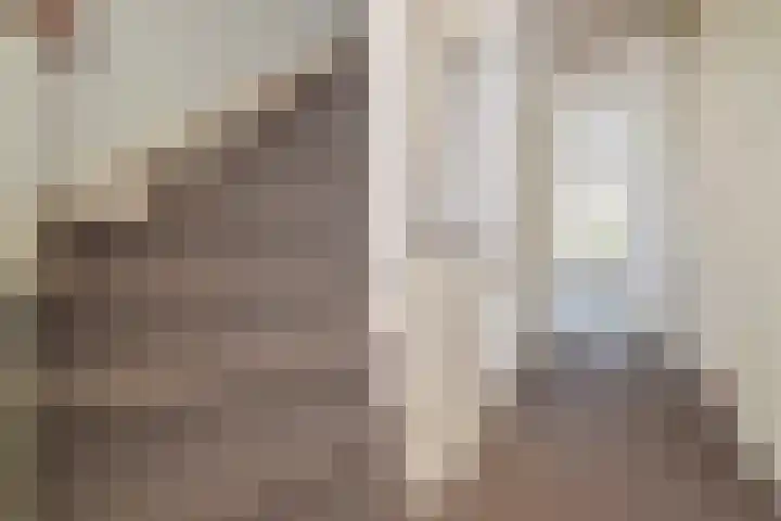 Paulinastraat 20 Den Haag thumbnail 31