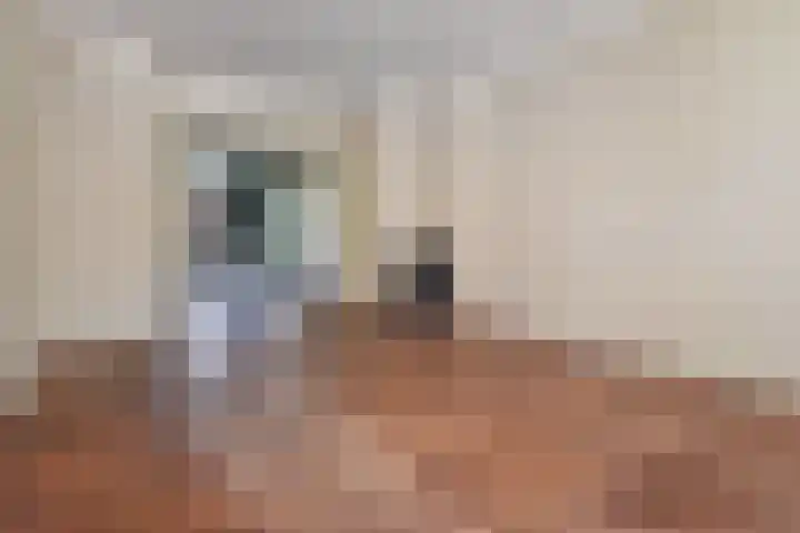 Paulinastraat 20 Den Haag thumbnail 6