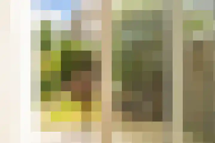 Paulinastraat 27 Den Haag thumbnail 11