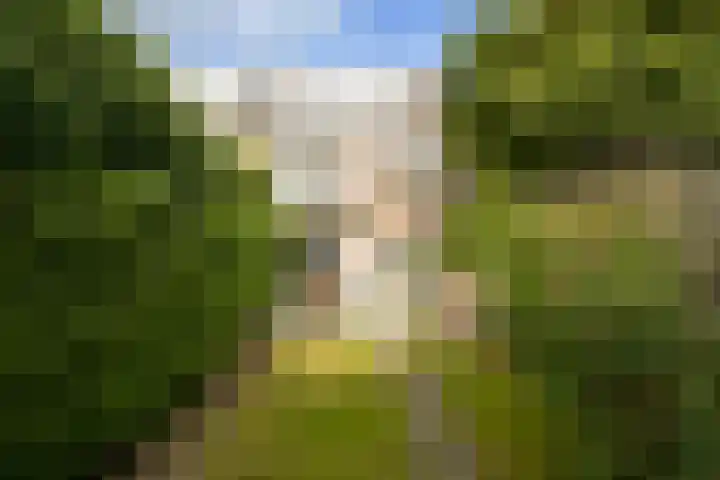 Paulinastraat 27 Den Haag thumbnail 14
