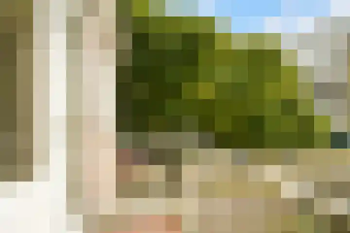 Paulinastraat 27 Den Haag thumbnail 17