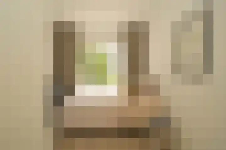 Paulinastraat 27 Den Haag thumbnail 19