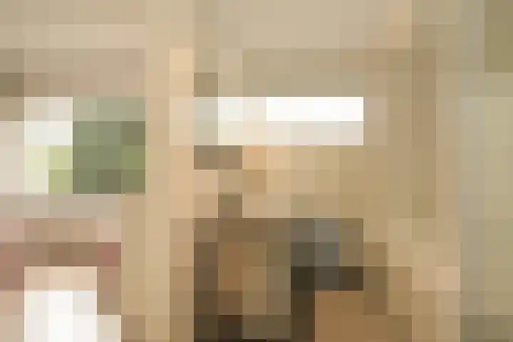 Paulinastraat 27 Den Haag thumbnail 22